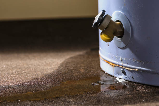Best Carpet water damage restoration  in Monte Vista, CO