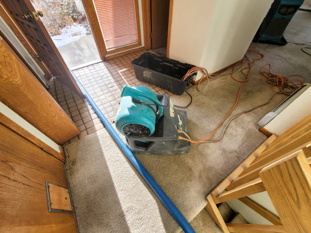 Best Flood restoration services  in Monte Vista, CO