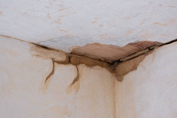 Best 24/7 water damage repair  in Monte Vista, CO