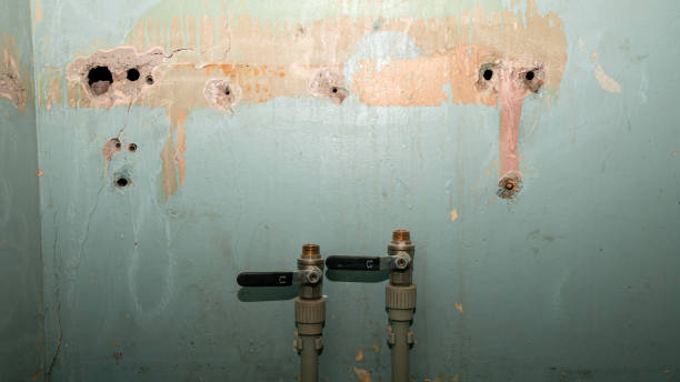 Professional Water damage restoration in CO
