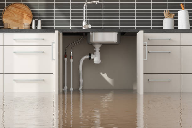 Best 24-hour water damage restoration  in Monte Vista, CO