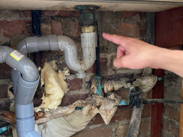  Monte Vista, CO Water damage restoration Pros