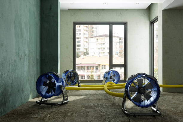 Best Water damage repair service  in Monte Vista, CO