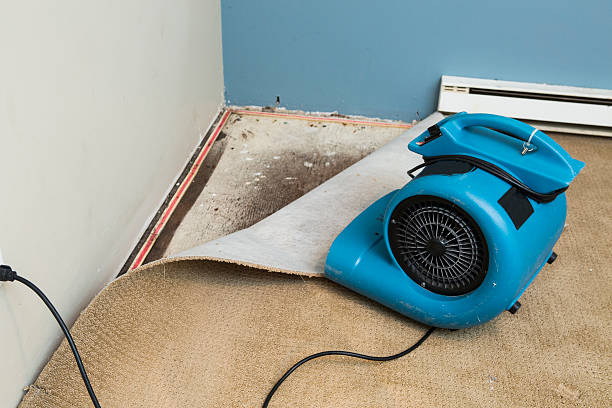 Best Emergency water damage restoration  in Monte Vista, CO